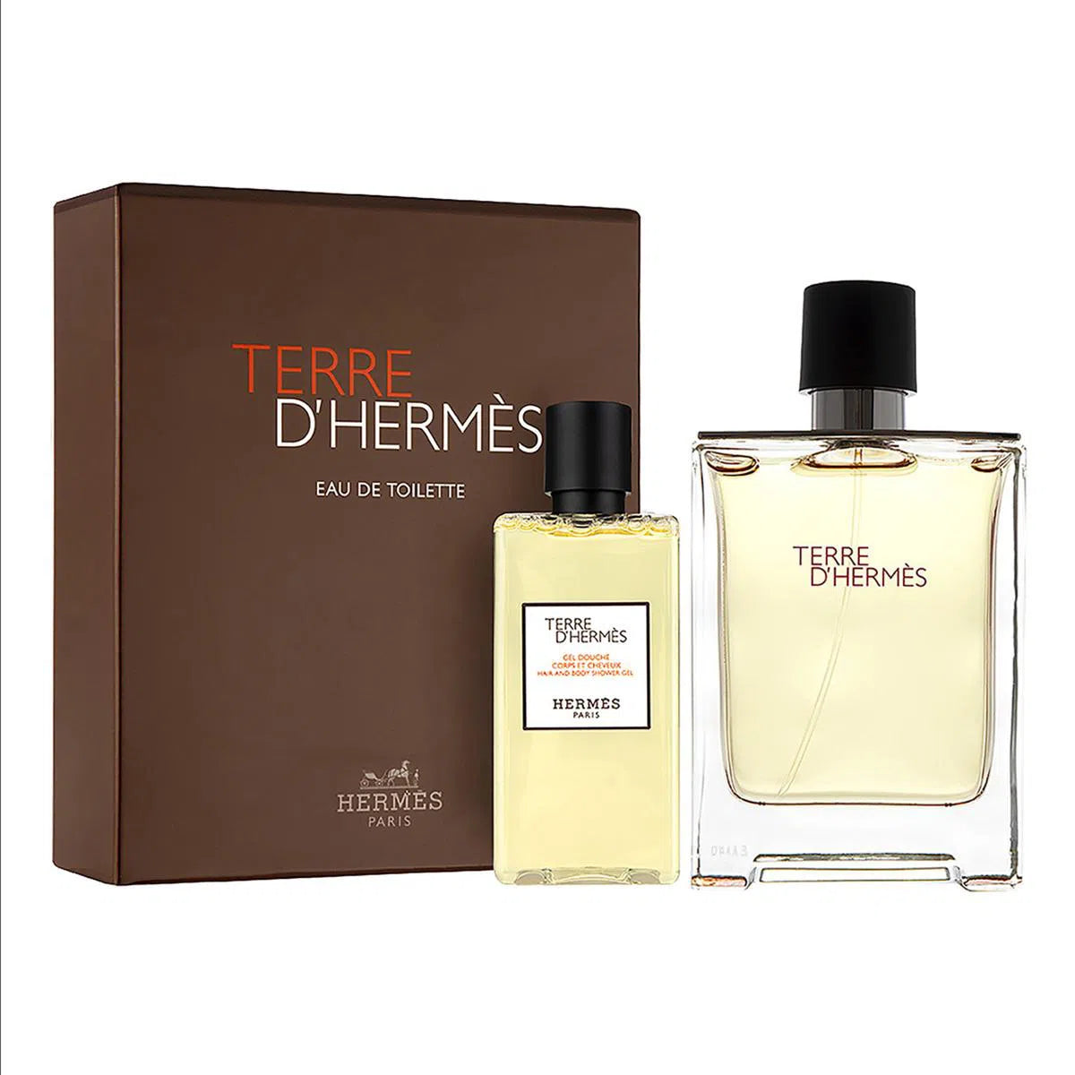 Estuche Hermes Terre D'Hermes EDT (M) / 2 Pc SP 100ml; SG 80ml - 3346130010630- Prive Perfumes Honduras