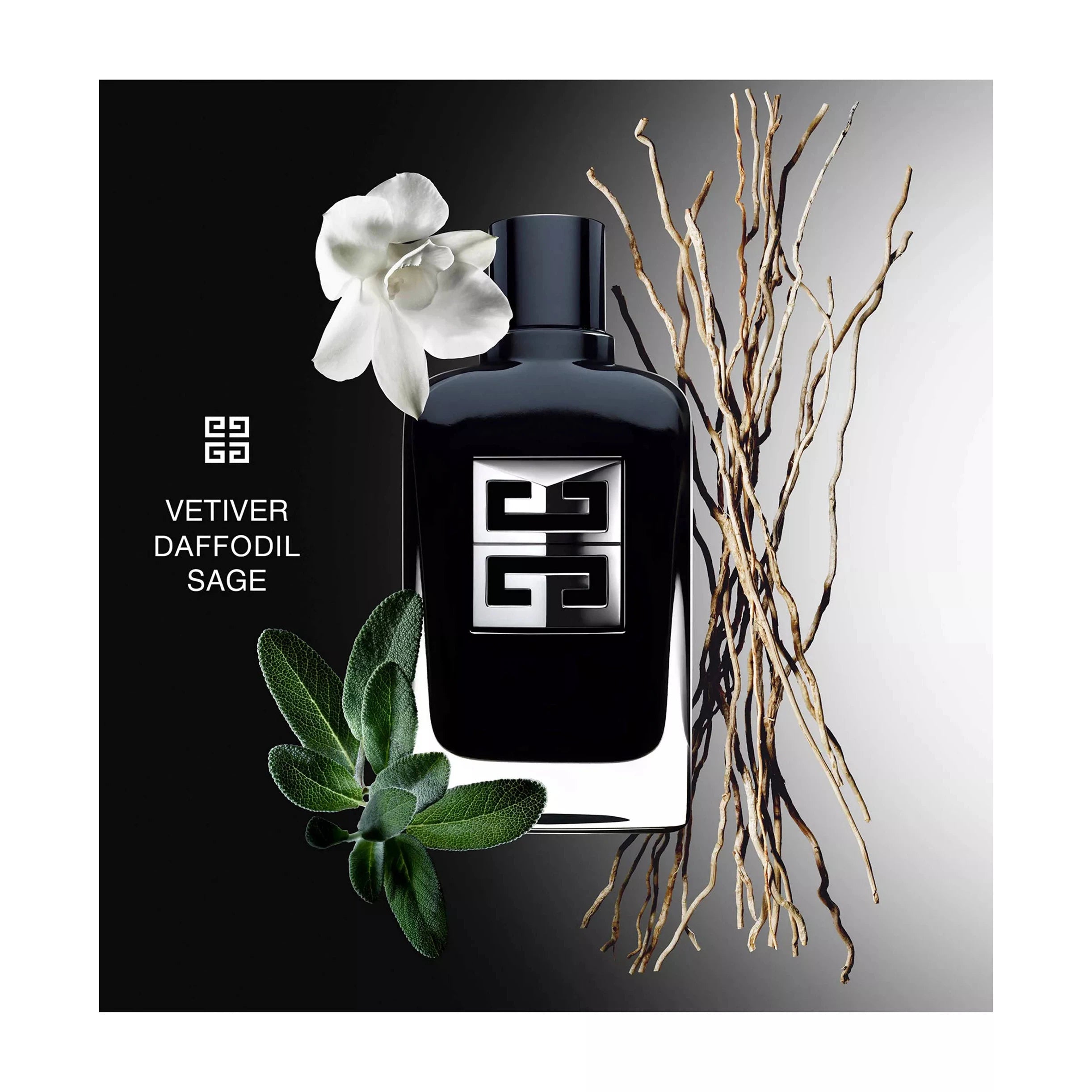 Estuche Givenchy Gentleman Society EDP (M) / 2 Pc SP 100 ml; DEO - 3274872467231- Prive Perfumes Honduras