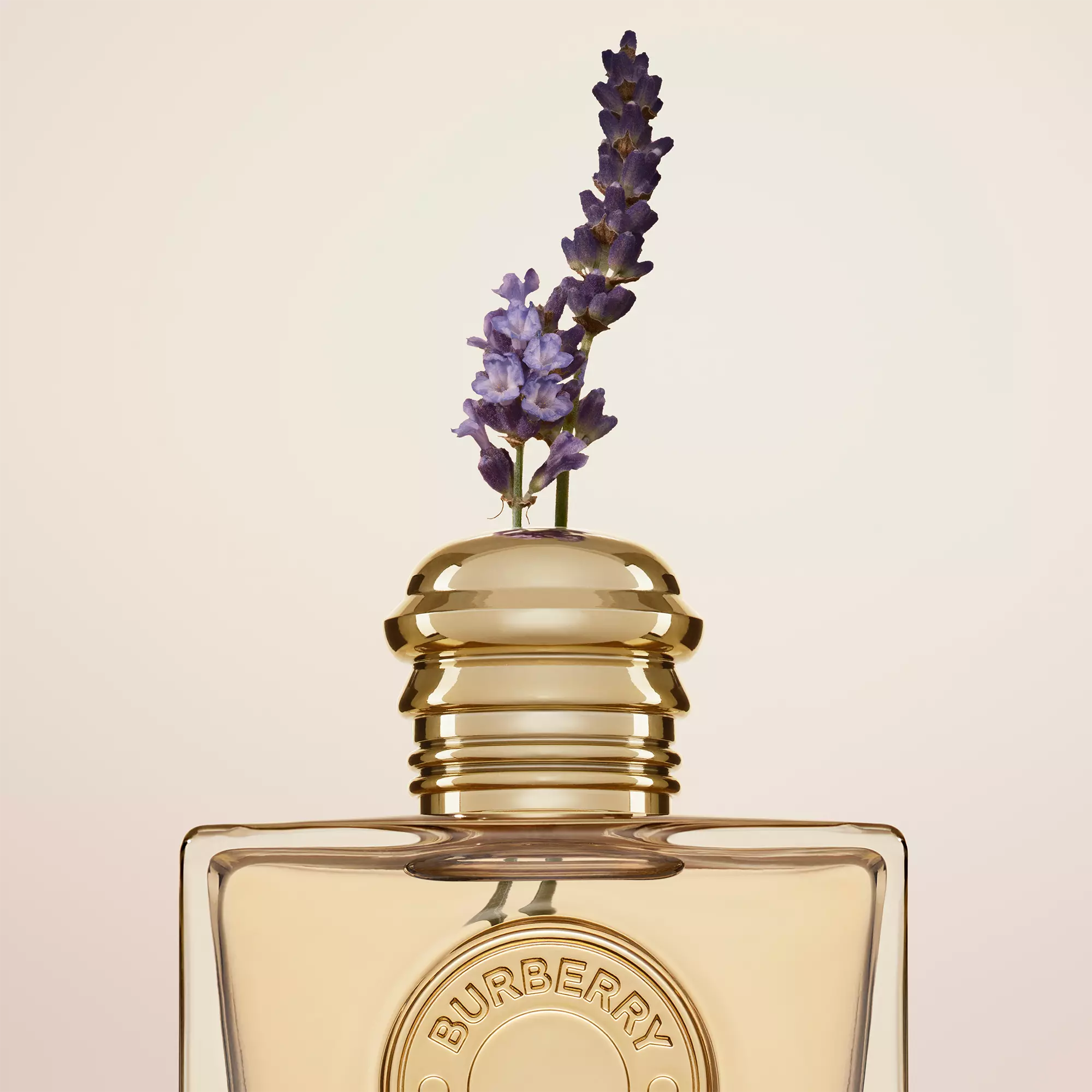 Perfume Burberry Goddess EDP (W) / 50 ml - 3616302020676- Prive Perfumes Honduras