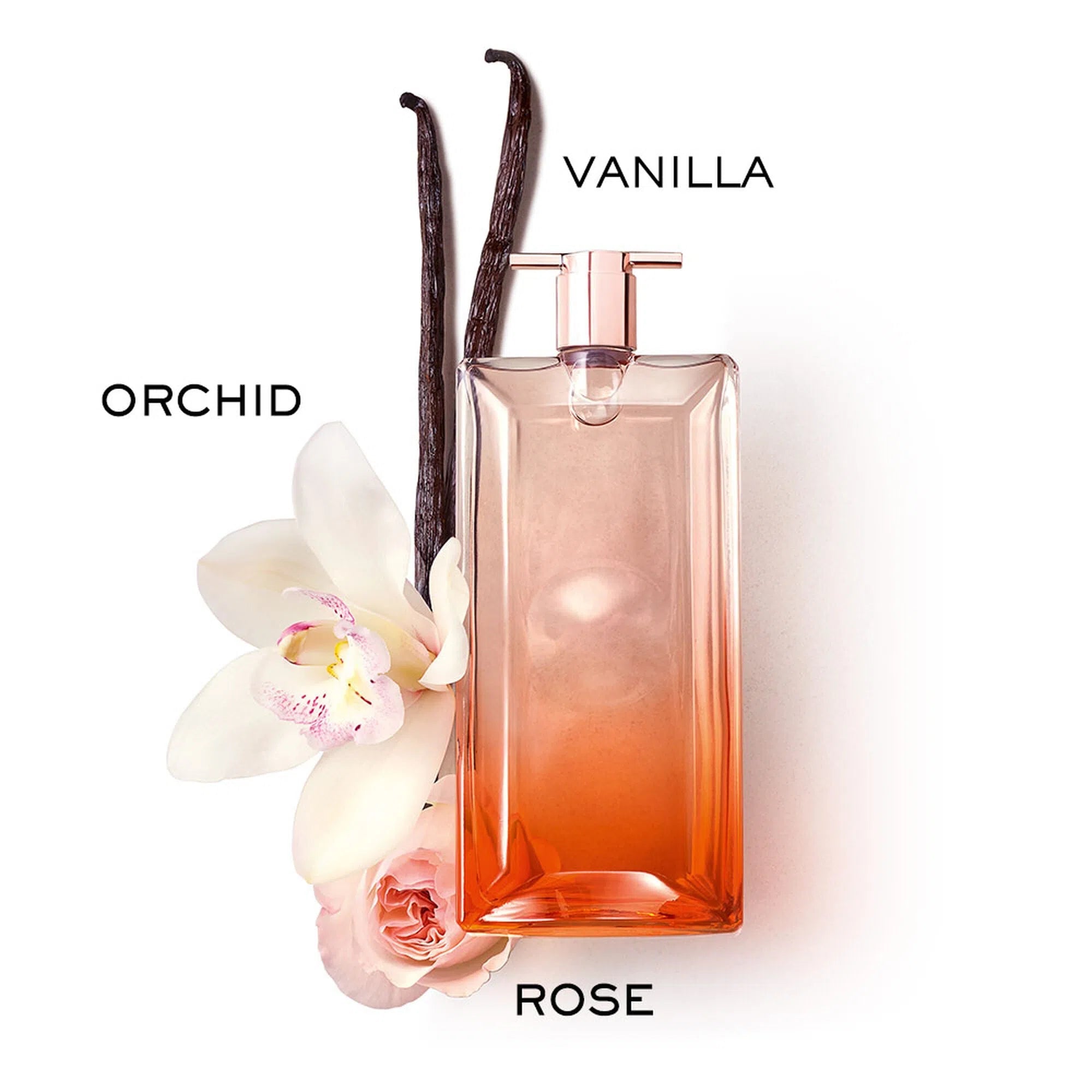 Perfume Lancôme Idole Now EDP (W) / 100 ml - 3614273927321- Prive Perfumes Honduras
